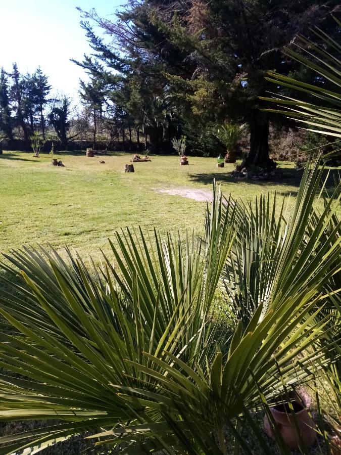 Mamena Acomodação com café da manhã Paestum Exterior foto